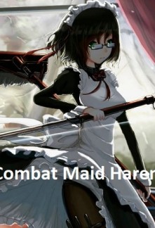 Read Combat Maid Harem Online