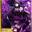 Cosmic Peak