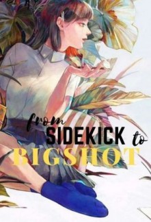 Read From Sidekick to Bigshot Online