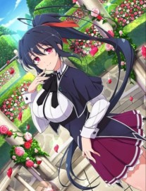 Read Highschool DxD: I have a Dimensional Travel System Online