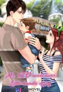Read Mr. CEO sweet lover: Little bundle of joy Online