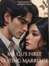 Mr Gu’s First Doting Marriage