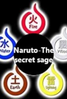 Read Naruto-The secret sage Online
