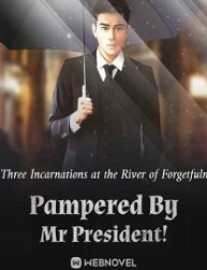 Read Pampered By Mr President! Online