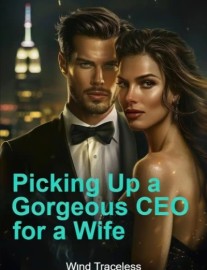 Read Picking Up a Gorgeous CEO for a Wife Online