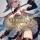 Reborn As A Maid