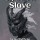 Shadow Slave