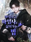 Surviving as a Mage in a Magic Academy