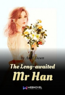 Read The Long-awaited Mr Han Online