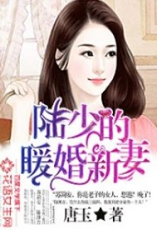 Read Young Master Lu’s Lovely New Bride Online