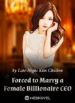 forced-to-marry-a-female-billionaire-ceo-193×278.jpg