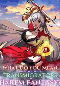 what-do-you-mean-there-are-other-transmigrators-in-my-harem-fantasy.jpg