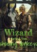wizard-starting-from-shoeing-donkeys.jpg